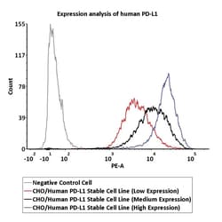 ACROBiosystems&nbsp;CHO/Human PD-L1 Stable Cell Line (Low Expression) Development Service