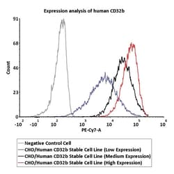 ACROBiosystems&nbsp;CHO/Human CD32b Stable Cell Line (High Expression) Development Service