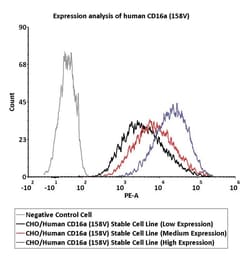 ACROBiosystems CHO/Human CD16a (158V) Stable Cell Line (Medium Expression)