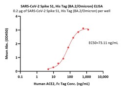 ACROBiosystems SARS-CoV-2 Spike S1 Protein, His Tag (BA.2/Omicron), Quantity: