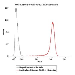 ACROBiosystems Biotinylated Human ROBO1 Protein, His,Avitag (MALS verified),