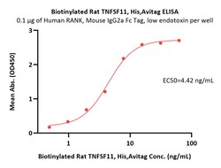 ACROBiosystems Biotinylated Rat TNFSF11 / RANKL / CD254 Protein, His,Avitag,