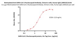 ACROBiosystems Biotinylated Anti-SARS-CoV-2 Nucleocapsid Antibody, Chimeric mAb, Human IgG1 (AM223) (MALS verified) | Buy Online | ACROBiosystems | Fisher Scientific