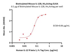 ACROBiosystems Biotinylated Mouse IL-12B / NKSF2 / p40 Protein, His,Avitag