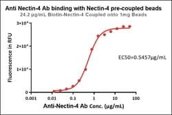 ACROBiosystems&nbsp;Human Nectin-4-coupled Magnetic Beads