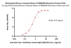 ACROBiosystems Biotinylated Rhesus macaque Mamu-A*08&B2M Monomer Protein