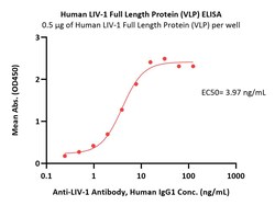 ACROBiosystems Human LIV-1 Full Length Protein (VLP), Quantity: Each of