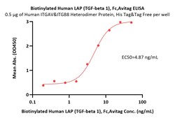 ACROBiosystems Biotinylated Human LAP (TGF-beta 1) (C33S) Protein, Fc,Avitag