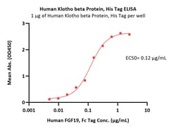 ACROBiosystems Human Klotho beta / KLB Protein, His Tag, Quantity: Each