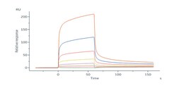 ACROBiosystems Human KIR2DL5 / CD158f Protein, Fc Tag, Quantity: Each of