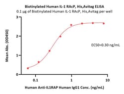ACROBiosystems Biotinylated Human IL-1 RAcP / IL-1 R3 Protein, His,Avitag