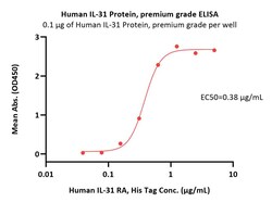 ACROBiosystems Human IL-31 Protein, premium grade, Quantity: Each of 1