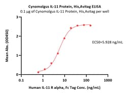 ACROBiosystems Cynomolgus IL-11 Protein, His,Avitag (HPLC-verified), Quantity: