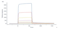 ACROBiosystems Biotinylated Human IGFBP-7 Protein, Fc,Avitag (MALS verified),