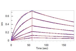 ACROBiosystems Cynomolgus IFN-alpha/beta R1 Protein, His Tag (MALS verified),