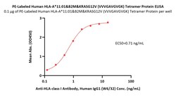 ACROBiosystems PE-Labeled Human HLA-A*11:01&B2M&KRASG12V (VVVGAVGVGK) Tetramer