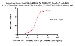 ACROBiosystems Biotinylated Human HLA-A*02:01&B2M&HPV (TIHDIILECV) Complex