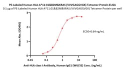 ACROBiosystems PE-Labeled Human HLA-A*11:01&B2M&KRAS (VVVGAGGVGK) Tetramer