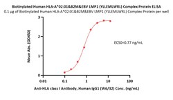 ACROBiosystems Biotinylated Human HLA-A*02:01&B2M&EBV LMP1 (YLLEMLWRL)