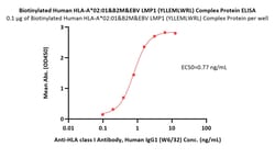 ACROBiosystems Biotinylated Human HLA-A*02:01&B2M&EBV LMP1 (YLLEMLWRL)