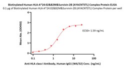 ACROBiosystems Biotinylated Human HLA-A*24:02&B2M&Survivin-2B (AYACNTSTL)