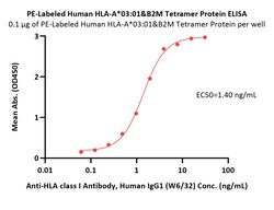 ACROBiosystems PE-Labeled Human HLA-A*03:01&B2M Tetramer Protein (Peptide