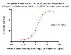 ACROBiosystems PE-Labeled Human HLA-A*11:01&B2M Tetramer Protein (Peptide