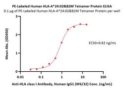 ACROBiosystems PE-Labeled Human HLA-A*24:02&B2M Tetramer Protein (Peptide