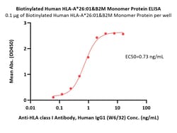 ACROBiosystems Biotinylated Human HLA-A*26:01&B2M Monomer Protein (Peptide