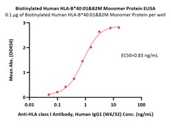 ACROBiosystems Biotinylated Human HLA-B*40:01&B2M Monomer Protein (Peptide