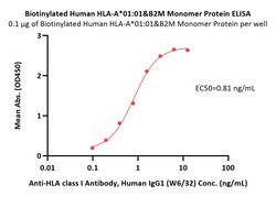 ACROBiosystems Biotinylated Human HLA-A*01:01&B2M Monomer Protein (Peptide