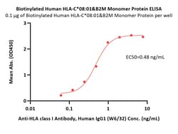 ACROBiosystems Biotinylated Human HLA-C*08:01&B2M Monomer Protein (Peptide