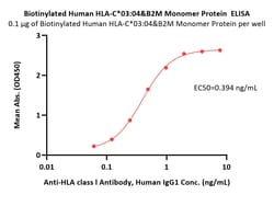 ACROBiosystems Biotinylated Human HLA-C*03:04&B2M Monomer Protein (Peptide