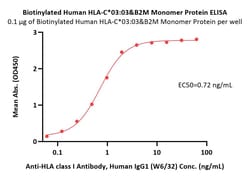 ACROBiosystems Biotinylated Human HLA-C*03:03&B2M Monomer Protein (Peptide