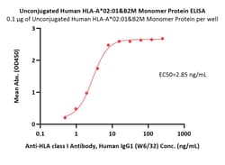 ACROBiosystems Unconjugated Human HLA-A*02:01&B2M Monomer Protein (Peptide