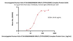 ACROBiosystems Unconjugated Human HLA-A*24:02&B2M&EBV BRLF1 (TYPVLEEMF)
