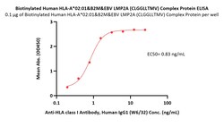 ACROBiosystems Biotinylated Human HLA-A*02:01&B2M&EBV LMP2A (CLGGLLTMV)