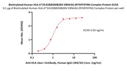 ACROBiosystems Biotinylated Human HLA-A*24:02&B2M&EBV EBNA3A (RYSIFFDYM)