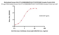 ACROBiosystems Biotinylated Human HLA-A*11:01&B2M&HPV16-E7 (IVCPICSQK)