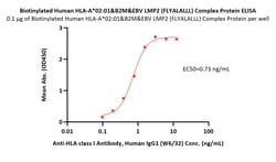 ACROBiosystems Biotinylated Human HLA-A*02:01&B2M&EBV LMP2 (FLYALALLL)