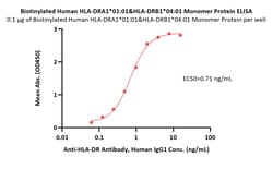 ACROBiosystems Biotinylated Human HLA-DRA1*01:01&HLA-DRB1*04:01 Monomer