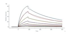 ACROBiosystems Monoclonal Anti-His Tag Antibody, Human IgG1 (AY63) (MALS