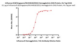 ACROBiosystems Influenza B (B/Singapore/WUH4618/2021) Hemagglutinin (HA)
