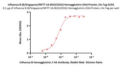 ACROBiosystems Influenza B (B/Singapore/INFTT-16-0610/2016) Hemagglutinin