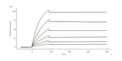 ACROBiosystems Monoclonal Anti-Influenza A [A/guinea fowl/Hong Kong/WF10/99(H9N2)]