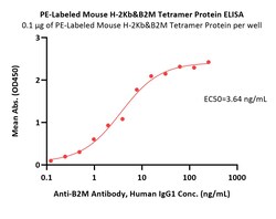 ACROBiosystems PE-Labeled Mouse H-2Kb&B2M Tetramer Protein (Peptide free),