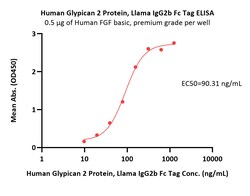 ACROBiosystems Human Glypican 2 / GPC2 Protein, Llama IgG2b Fc Tag, Quantity: