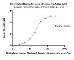 ACROBiosystems Biotinylated Human Glypican 1 Protein, His,Avitag (MALS
