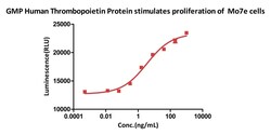 ACROBiosystems GMP Human Thrombopoietin Protein, Quantity: Each of 1