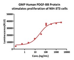 ACROBiosystems GMP Human PDGF-BB Protein, Quantity: Each of 1